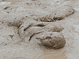 T710c1_135_150px.jpg